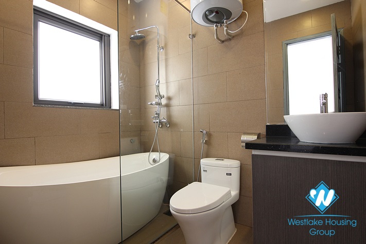 A newly-renovated house in modern styling for rent in Ciputra D Block 